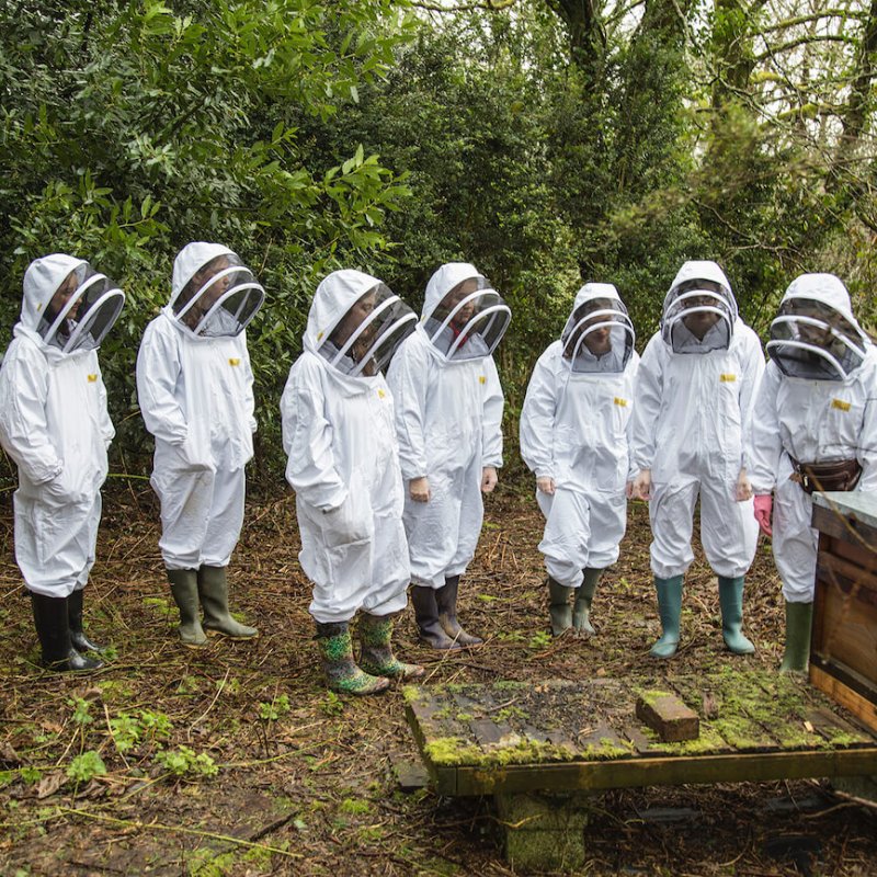 Group of students wearing bee keeping suits stood next to hive.