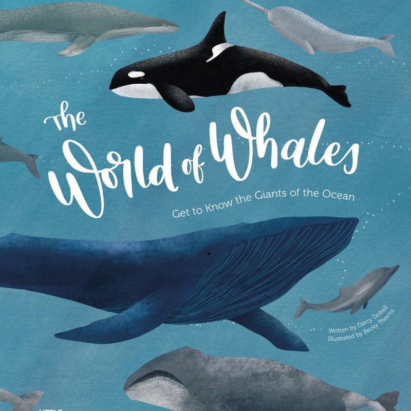The World of Whales book cover