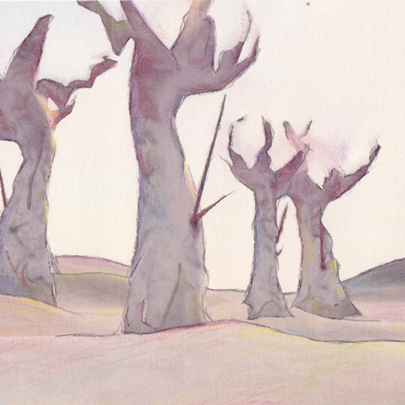 drawing of angular trees