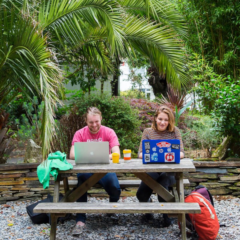 Students working at laptops below palm tree on Falmouth campus.