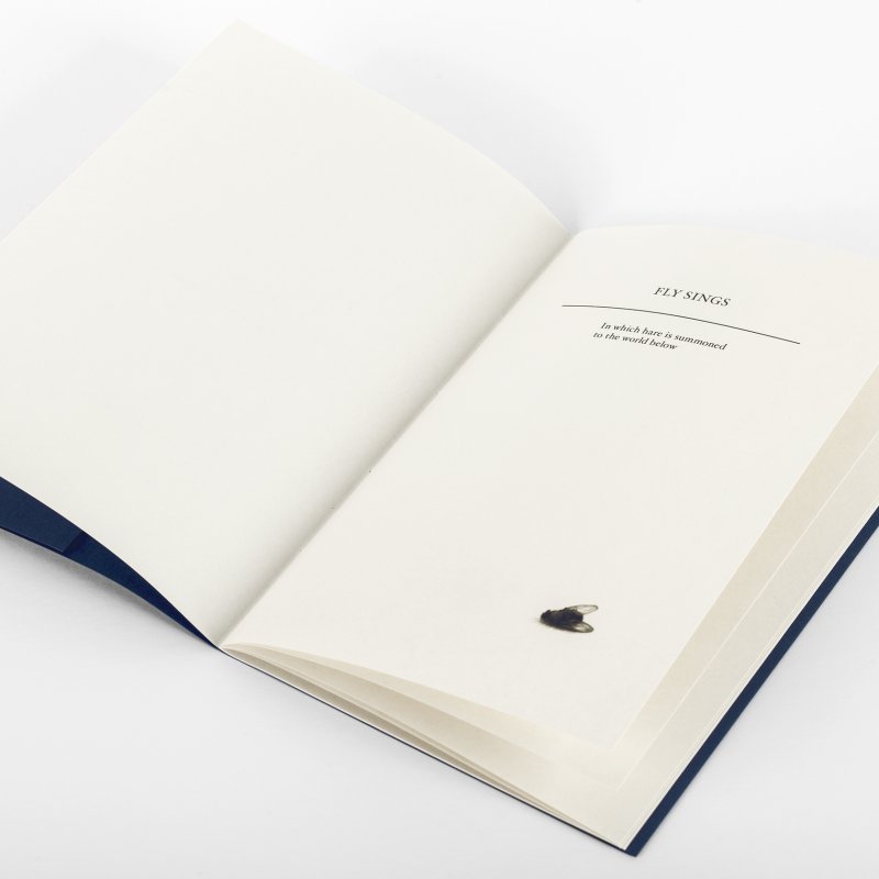 Book laid open with a fly illustration