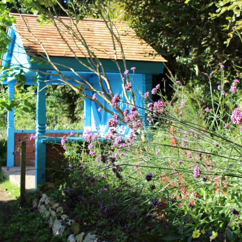 A pink plant is in the foreground of the shot with a blue hut set in the background