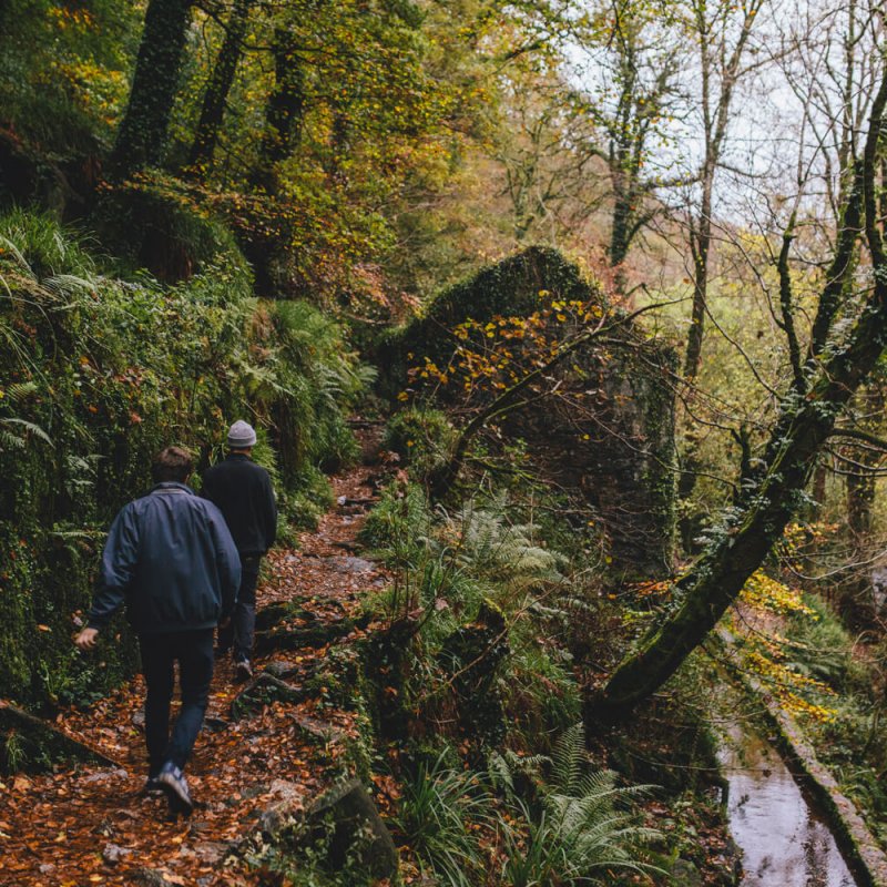 Two people walking in the woods at Autumn