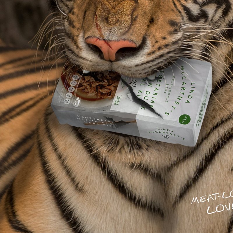 Tiger with a packet of Linda McCartney duck in its jaws
