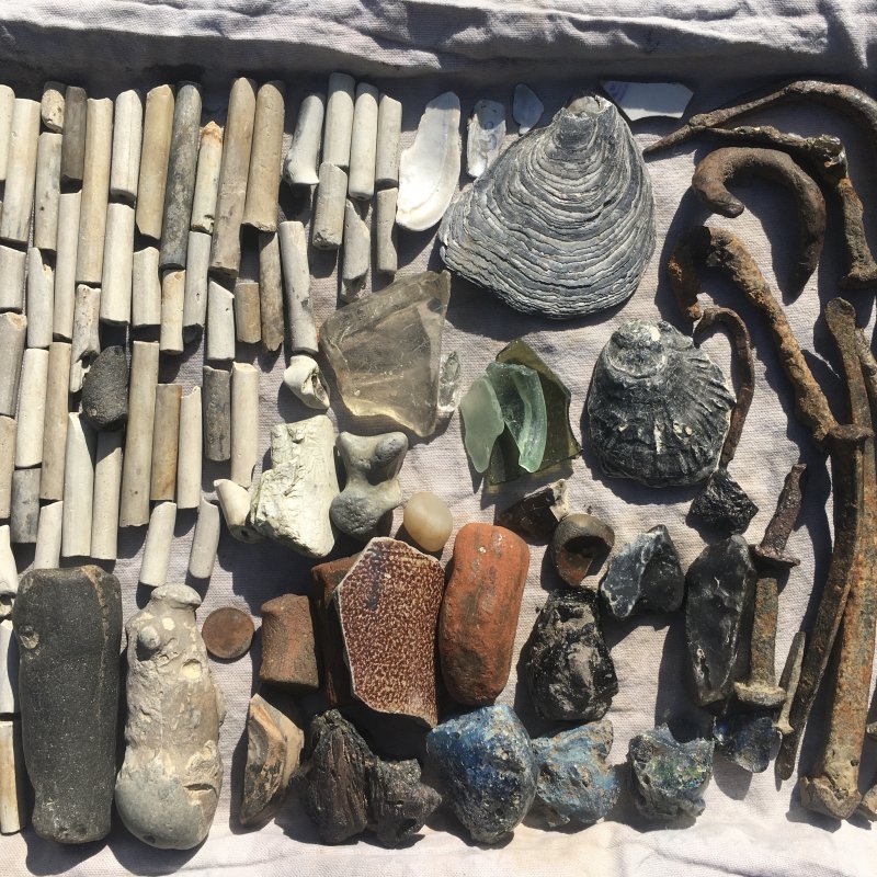 Display of beach found objects