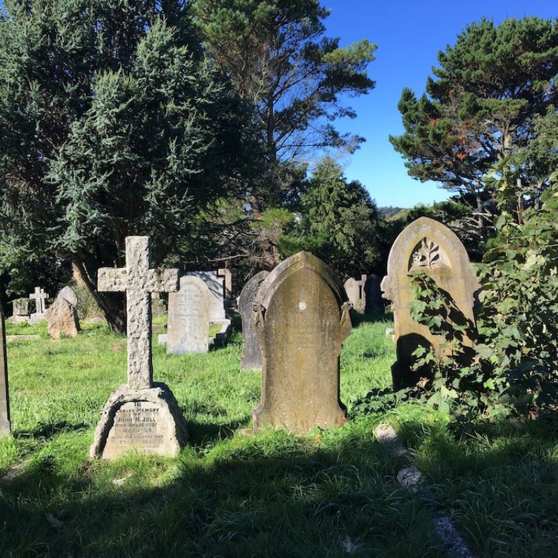 Grave stones and bushes