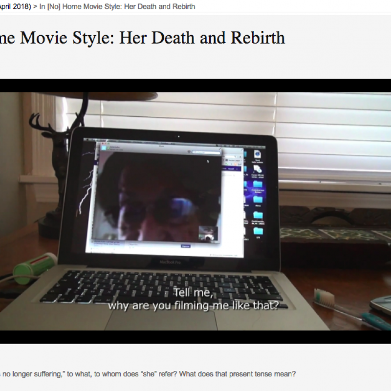 Image of figure on a laptop screen