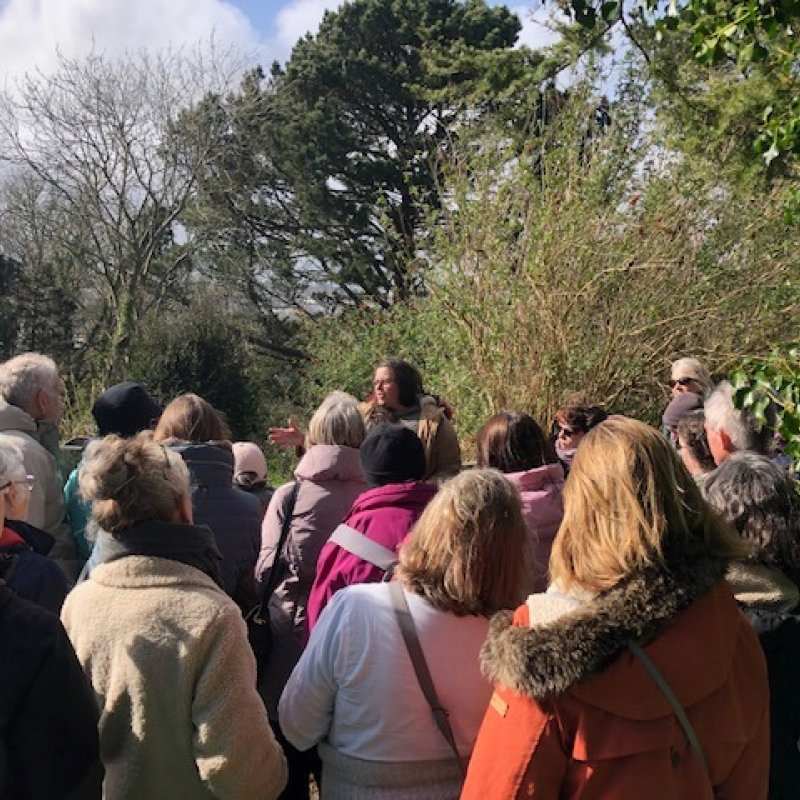 A crowd of people outside listening to a speaker