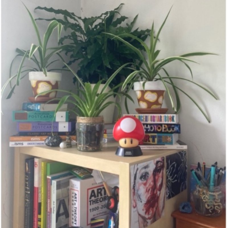 Handpainted plant pots on a bookshelf in student bedroom