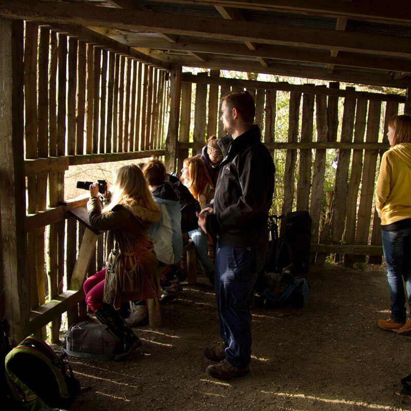 Falmouth University students photographing from a hide out.