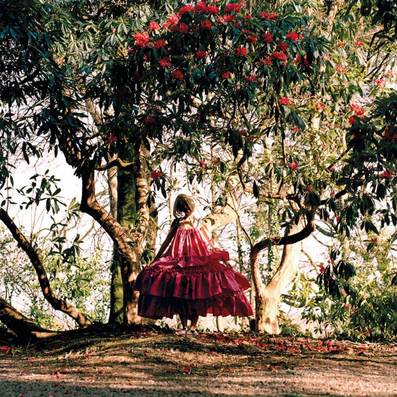 A Falmouth University Fashion Photography shoot of a person in a large pink dress under trees