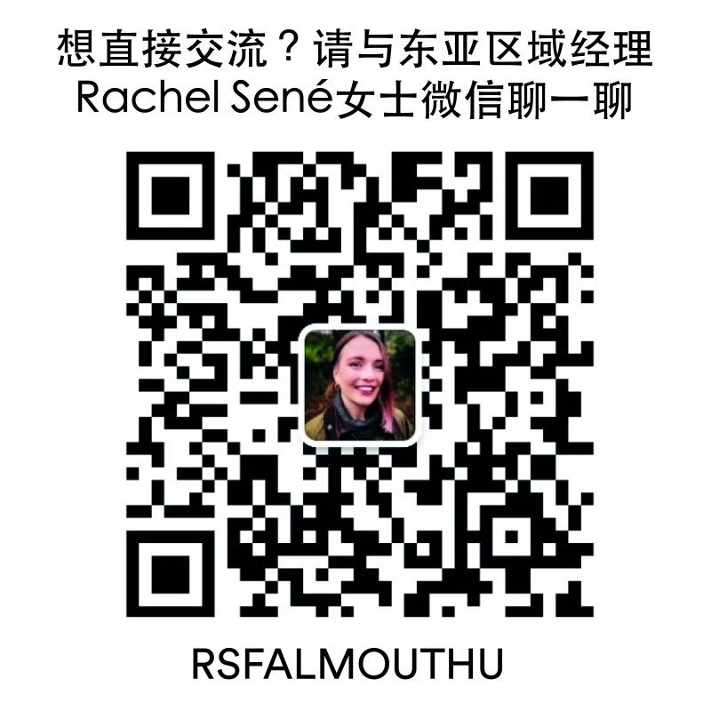 Microsoftteams Image 4
