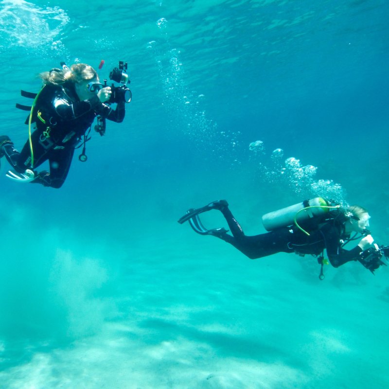 Falmouth University Marine Photography students in diving gear with cameras in turquoise waters.