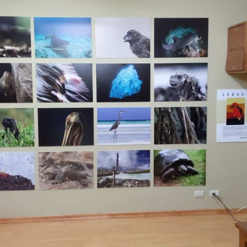 The Falmouth Wall of images at the Charles Darwin Foundation, Galapagos