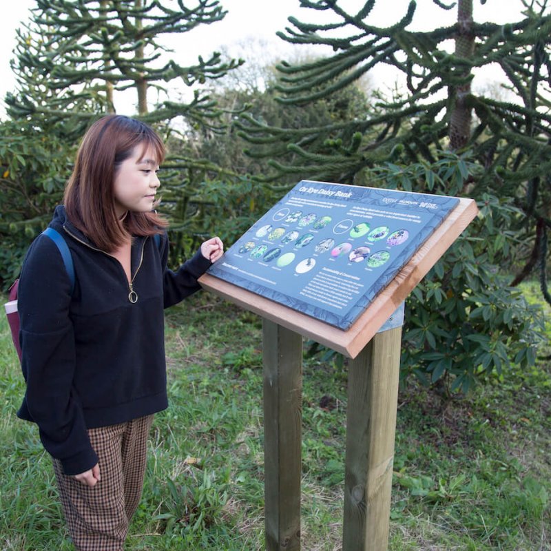 Student looking at sign on Penryn Campus with trees and grass