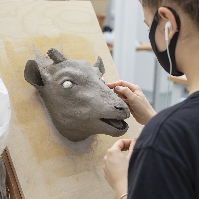A student working on a clay model of a goat's head