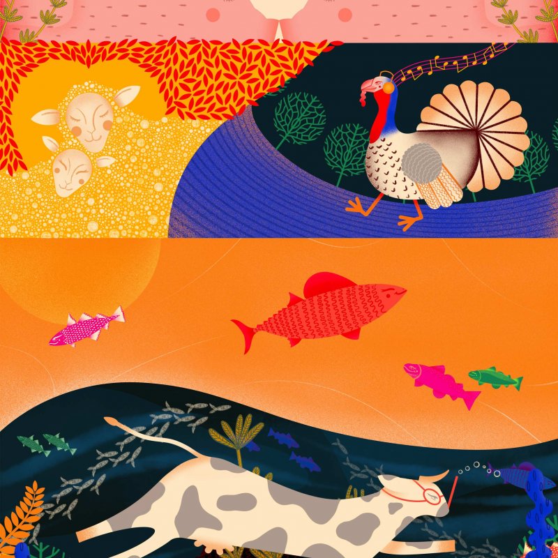 Illustration shows kissing pigs, hugging sheep, a moonwalking turkey, fish happily swimming and a cow using scuba kit to swim