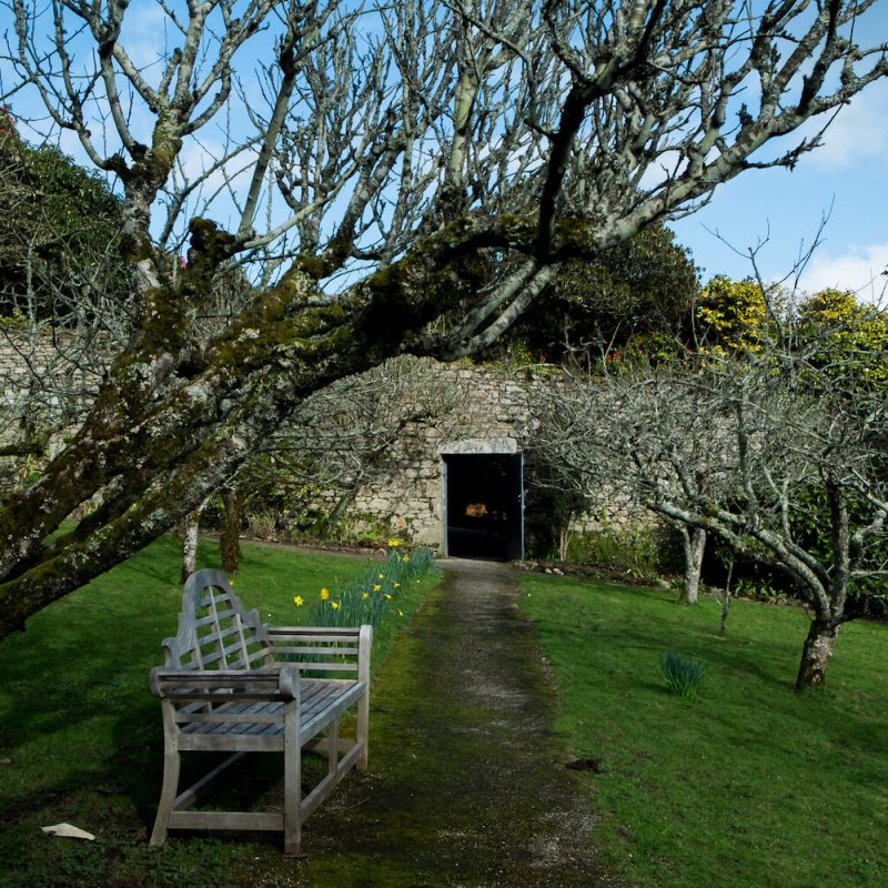Tremough gardens at Penryn Campus with walled garden and apple trees
