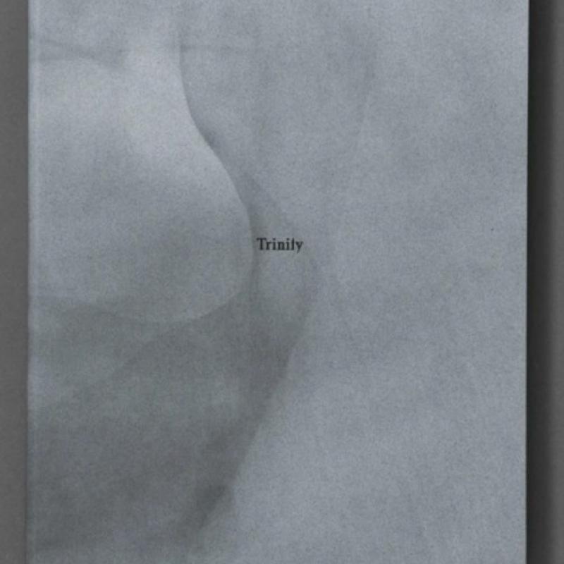 Cover of Trinity photo book - a matted grey background with the title centred in black