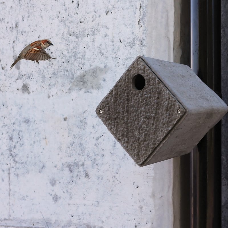 Bird flying towards contemporary cube shaped bird box.