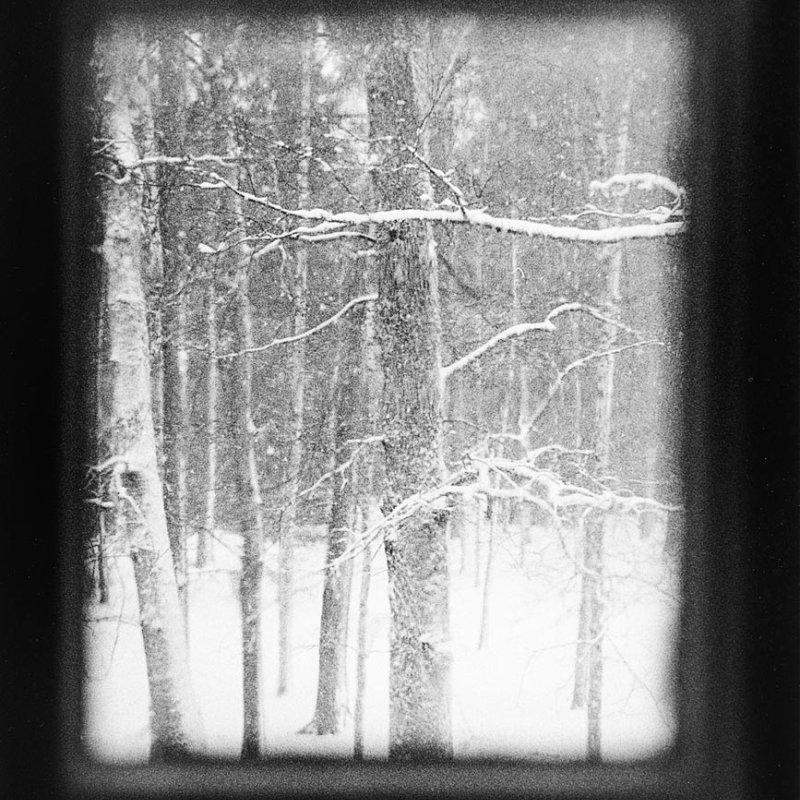 Black and white photo of trees in the snow