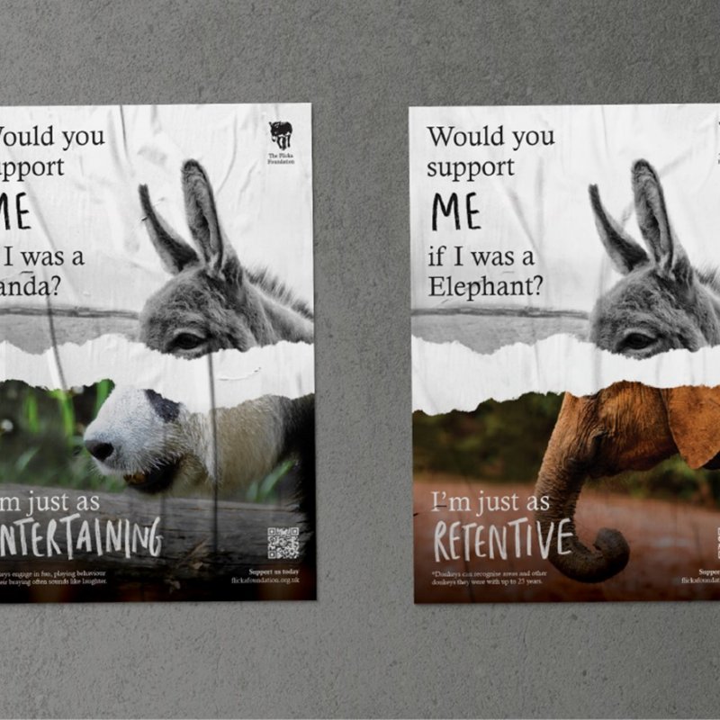 Poster design for Flicka Foundation depicting half and half images of donkeys and other animals with the message "Would you support me if I was a [panda]"