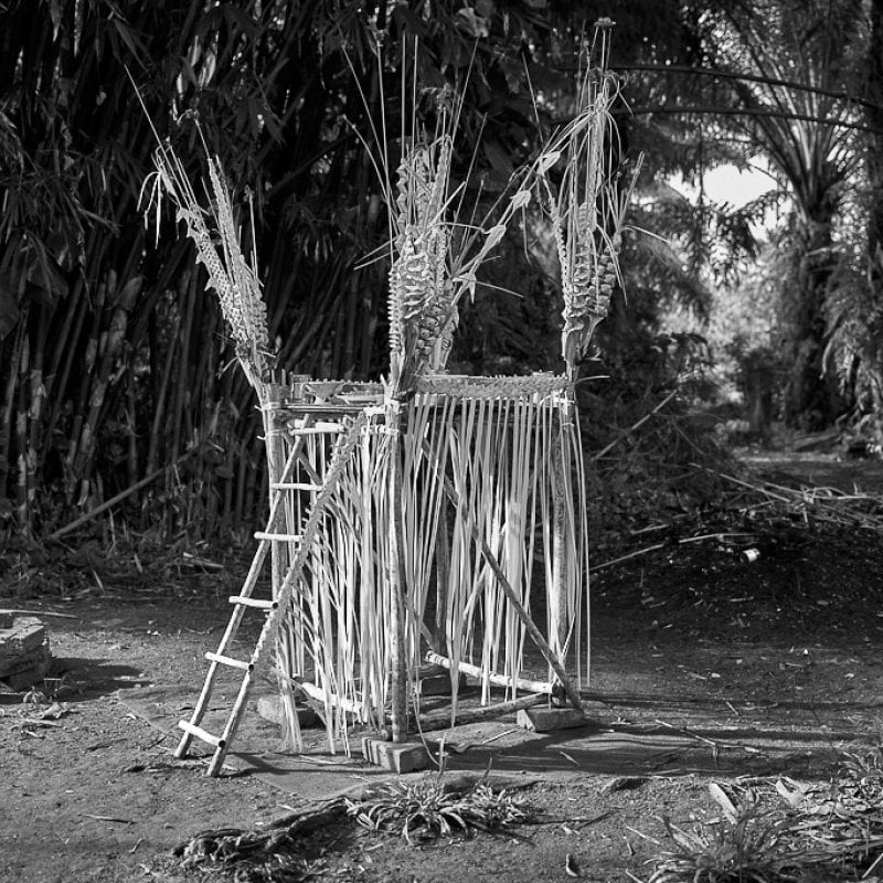 A structure made of bamboo and foliage