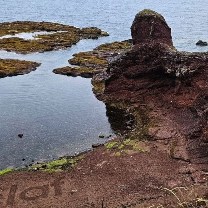 The coastline
