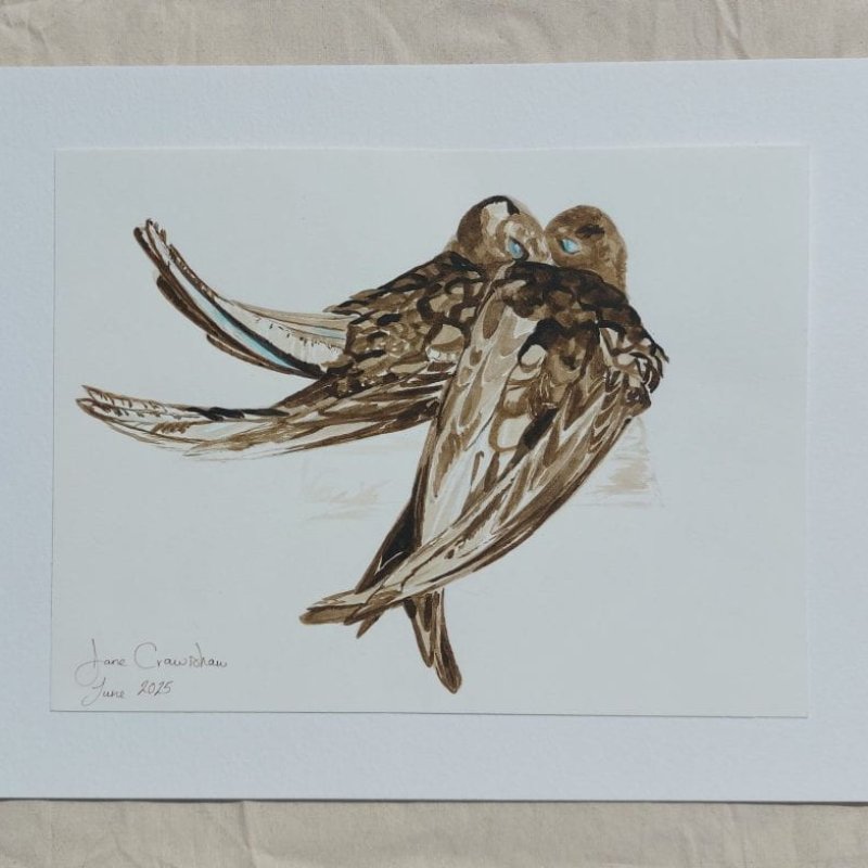 A painting of two birds