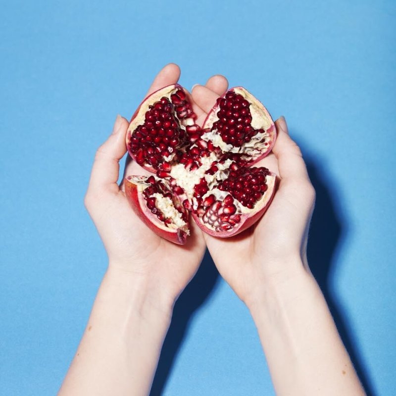 Jenna Hinton  graduate work depicting a pomegranate