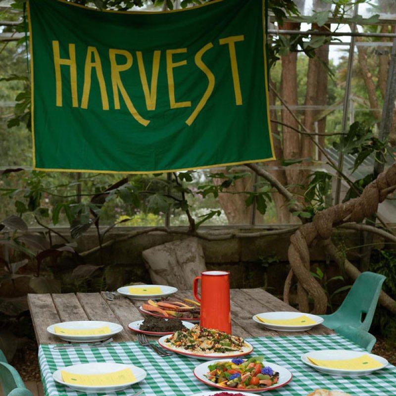 harvest