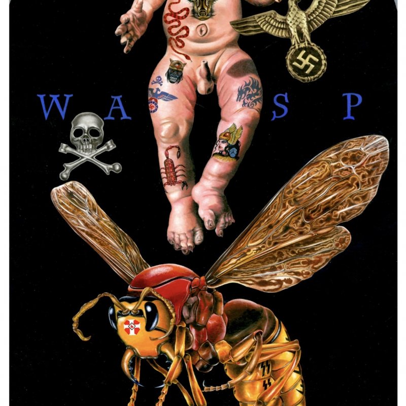 Alan Male The Wasp illustration