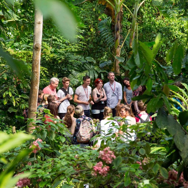 A group of students can be seen in amongst greenery at the Eden project