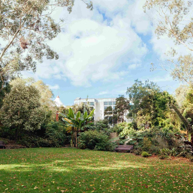 An image of a large garden on a sunny day