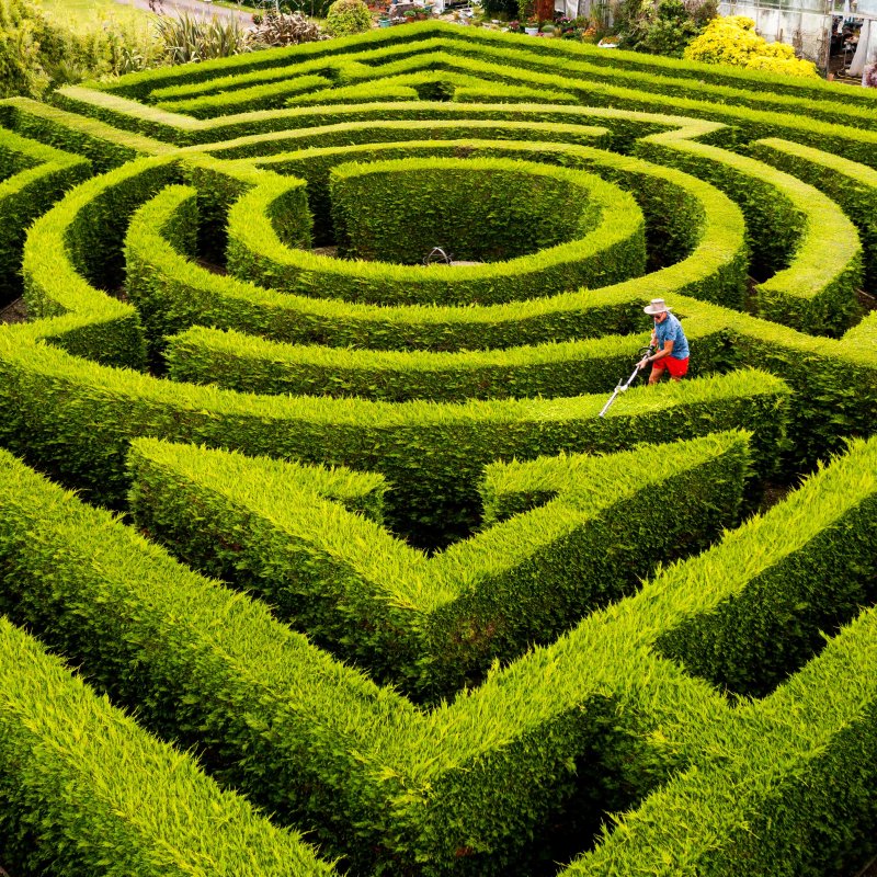 Richard Bushby tends to the maze garden created in his own back garden, spending over 1000 hours across two decades to craft as 2022 was the final year he opened the maze to the public. 