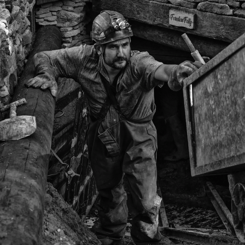 Wardy exiting Folly free mine