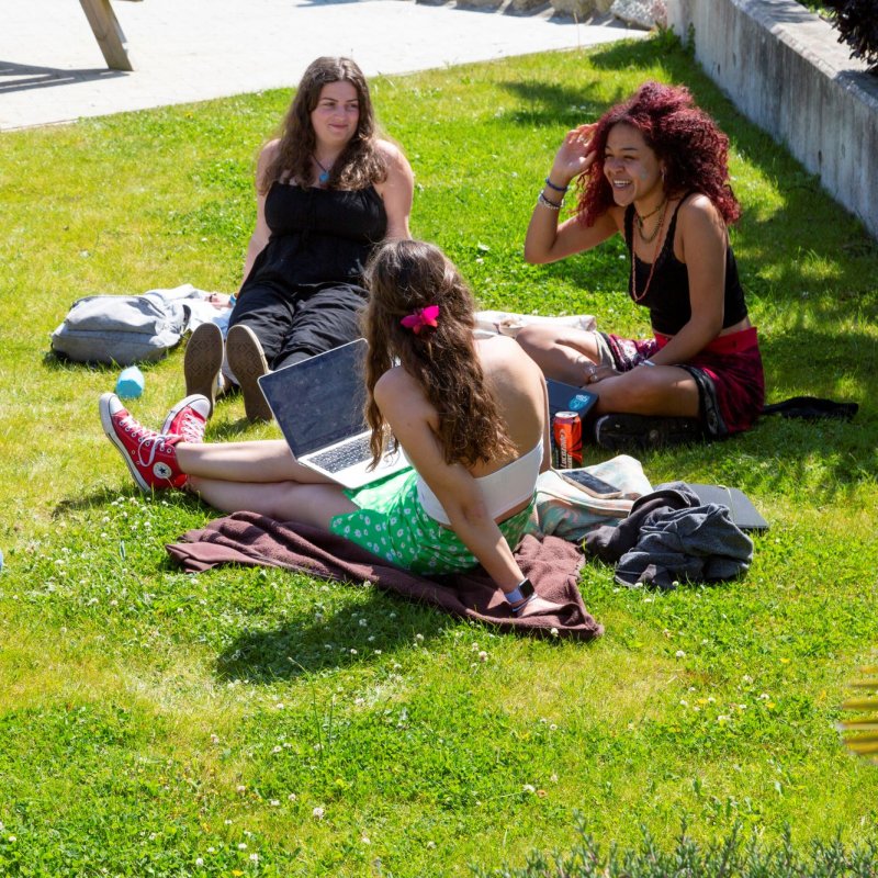 Four students sitting on the grass and chatting on Falmouth University's Penryn Campus