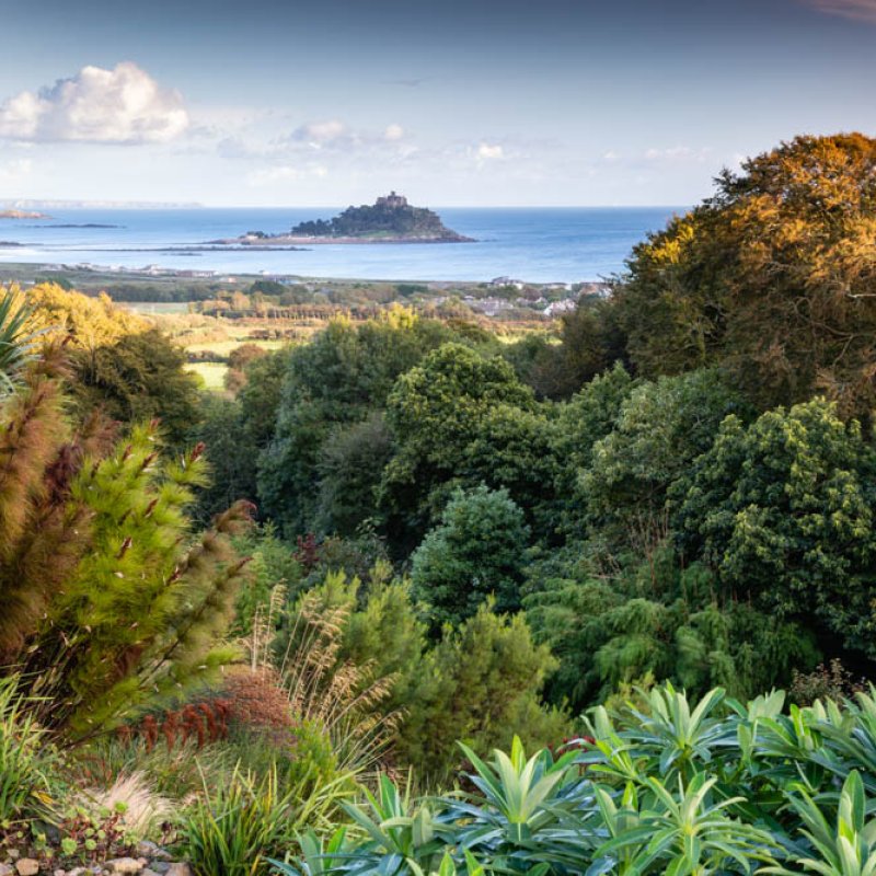 View across gardens and sea to St Michael's Mount from Tremenheere Sculpture Gardens