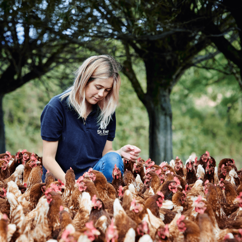 Woman crouching down amongst lots of chickens. 