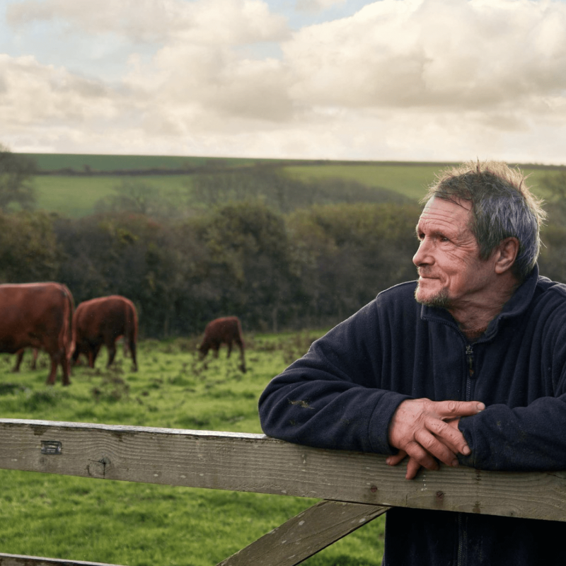 Man leaning on a fence in a field.