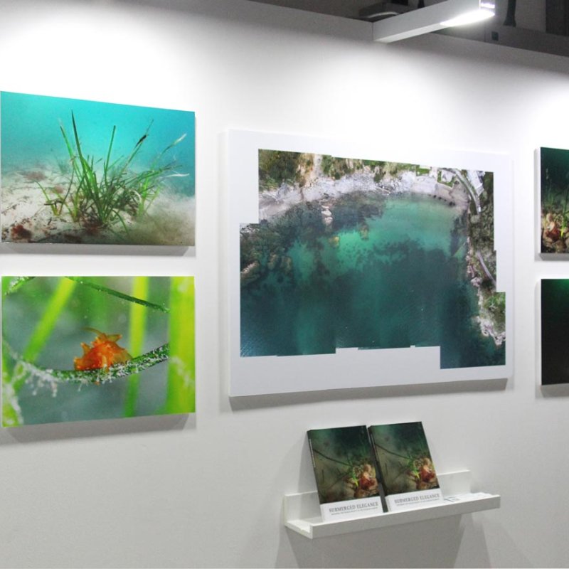Display of marine photography student work at Falmouth University