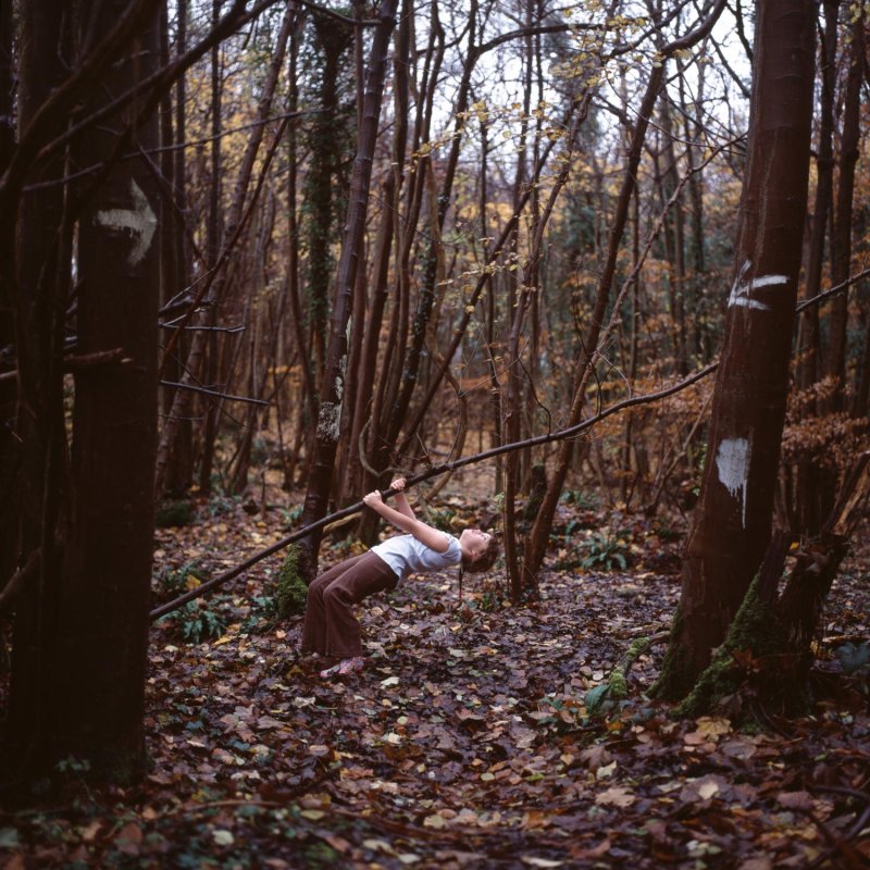 A girl swinging of a tree branch in the woods