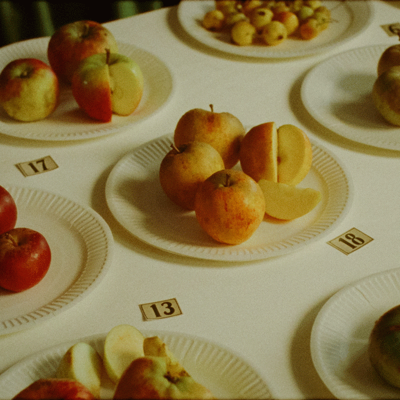 Some Interesting Apples