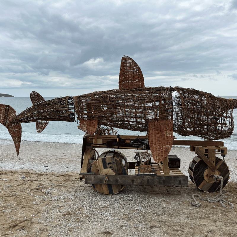 Basket Shark Imagery