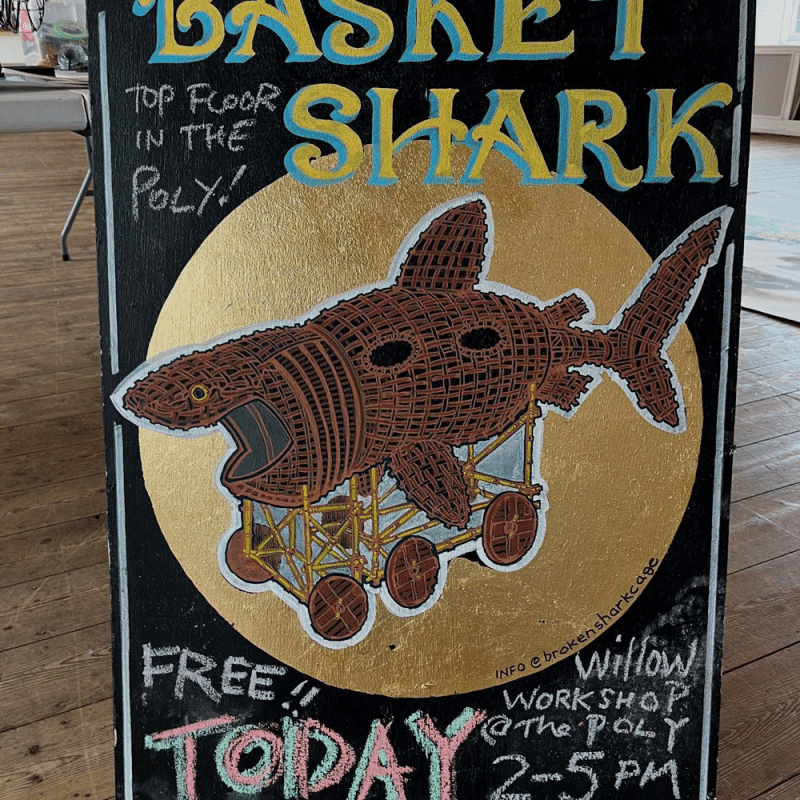 Basket Shark Imagery