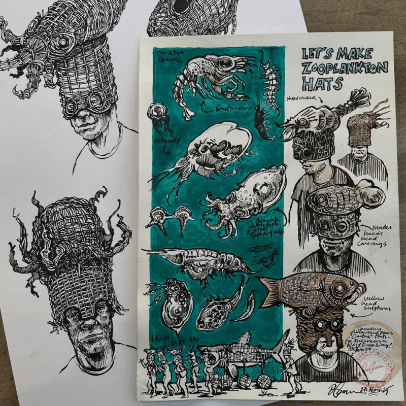 Basket Shark Imagery