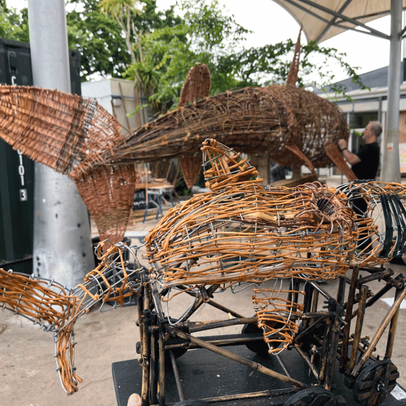 Basket Shark Imagery