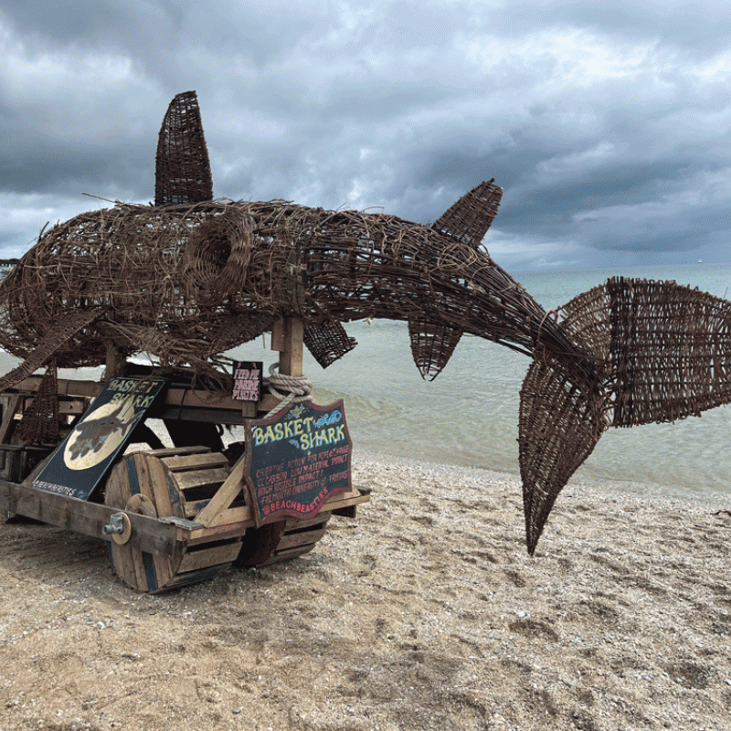 Basket Shark SAS Paddle Out