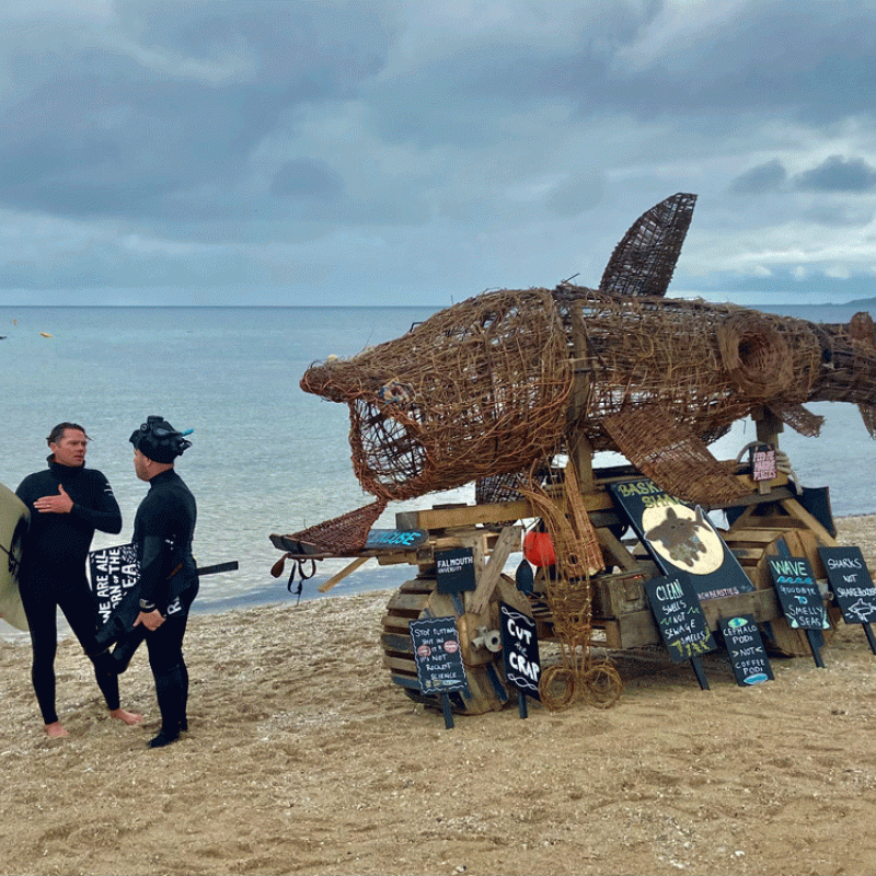 Basket Shark SAS Paddle Out