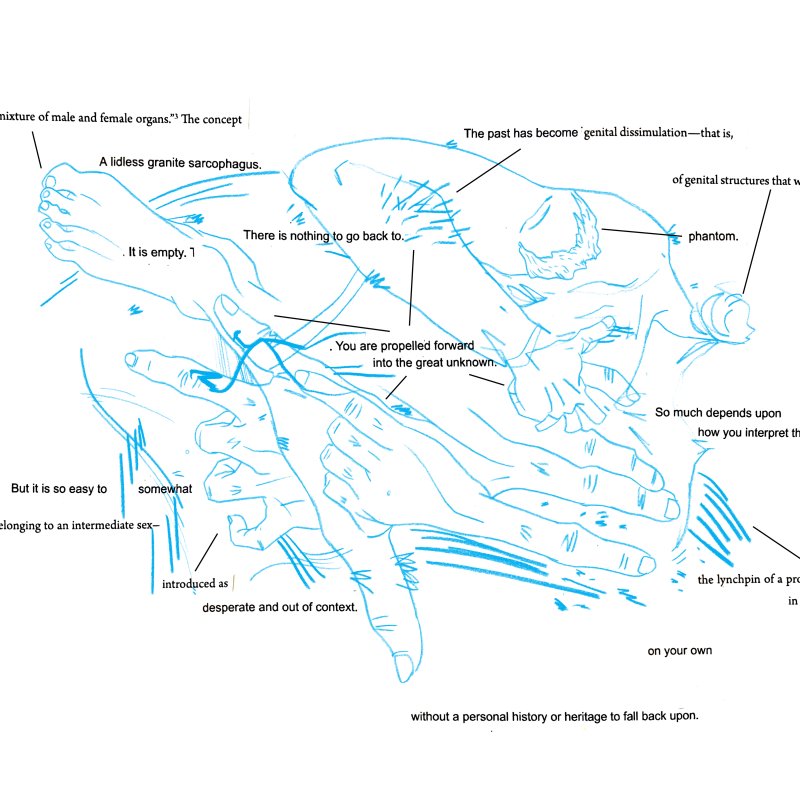 A line drawing of a body with annotations